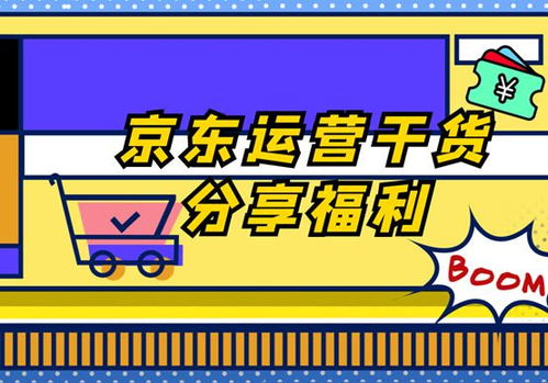 京东店铺运营全攻略 从入门到精通的必备事项